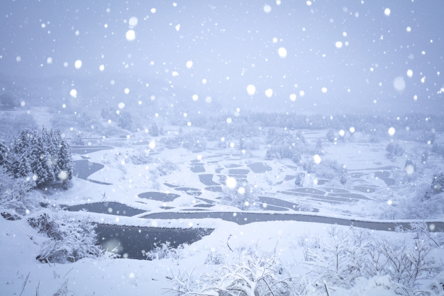 新潟県の雪風景